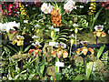 Orchids at Royal Horticultural Hall, London, SW1