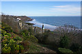 Hillside above Langlands Bay