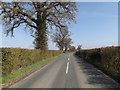 TM1856 : B1077 Helmingham Road, Helmingham by Geographer