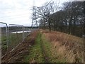 Clyde Walkway at Newton Farm