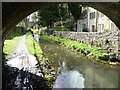 Thames & Severn Canal, below Iles Lock