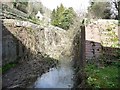 Iles Lock, Thames & Severn Canal, from the west