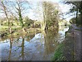 Reflections on the Stroudwater Navigation