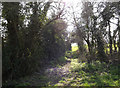 Footpath off the B1077 Helmingham Road