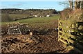 Towards Higher Hartswell Farm