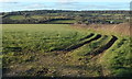 Field near Bawdoe Farm