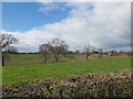 Field west of Wood Lane