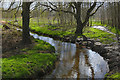 The Cove Brook, Farnborough