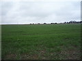 NZ2445 : Farmland north of the A691, Witton Gilbert by JThomas