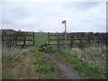 Footpath off the A691