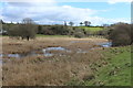 Marsh at Cubbox Isle