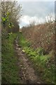 Track to Mount Pleasant Farm