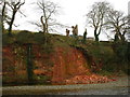 Rockfall at Canonbie