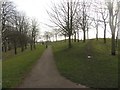 SJ3592 : Footpath in Everton Park, Liverpool by Graham Robson