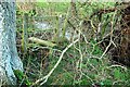 Obstructed stile near Double Hill