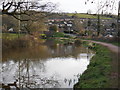 Tiverton : The Grand Western Canal