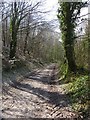 Footpath up Magiston Hill