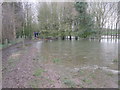 Flooded  field  and  footpath  approaching  Meadow  Gate