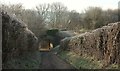 Bridge over byway, Lower Twinhoe