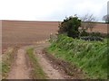 Track from Haske to Bradley Farm