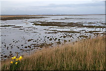 SD3621 : Crossens Out Marsh from the Marine Drive, Marshside by Mike Pennington