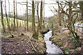 Stream south of Brindley Ford