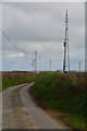 Torridge : Country Lane