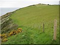SX3454 : The coast path on Cobland Hill by Philip Halling