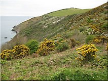 SX3454 : The coast below Cobland Hill by Philip Halling