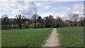 Path through Field