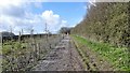 Footpath unaffected by new Solar Farm