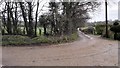 Lane to Upper Park Farm