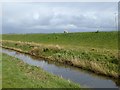 North Side Drain, Afon Cefni