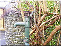 Village Water Pump, St Clears