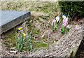 SJ9394 : Graveyard flowers by Gerald England