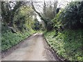 Baker Lane, Sutton Valence