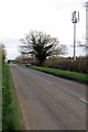 Phone mast on Bucknell Road