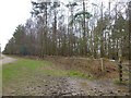 Sharp bend on bridleway