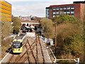 SD8010 : Metrolink, Bury Interchange by David Dixon