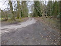 Looking south east on access road north of High Beeches Cottages