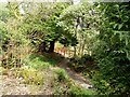 The Rock Garden in Moss Bank Park