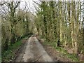 Brick Kiln Lane, near Ulcombe