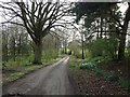 Tong Lane, near Headcorn