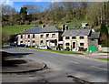 Lower Lydbrook houses