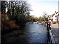 The River Itchen in Bishopstoke