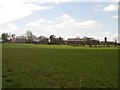 Grass pasture at Viewlaw