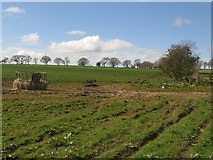 NZ1396 : Troughs in a grass field south of Birks by Graham Robson