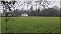 Field in Ropley Village