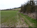 Fieldside footpath