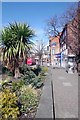 Flower Bed in Great Crosby